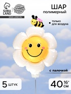 Воздушный шар полимерный 16" «Ромашка белая с пчёлкой», с палочкой, набор 5 шт. - Фото 1