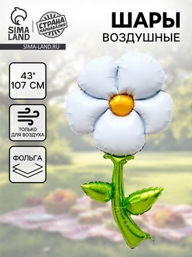 Воздушный шар фольгированный 43