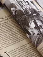 Пленка флористическая для цветов «Газета моды» 65 мкм, крафт, 50×57±1 см  (артикул 10973668)  большой выбор товаров оптом и в розницу по низким ценам с доставкой