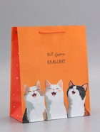 Пакет подарочный, ламинированный, «Все будет классно», оранжевый, 26×12×32 см  (артикул 10992951)  большой выбор товаров оптом и в розницу по низким ценам с доставкой