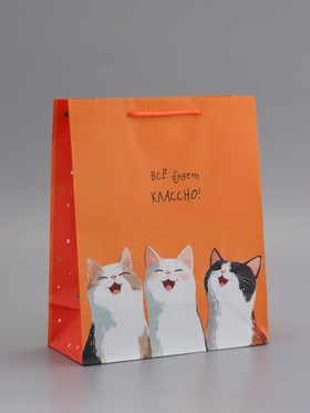 Пакет подарочный, ламинированный, «Все будет классно», оранжевый, 26×12×32 см  (артикул 10992951)  большой выбор товаров оптом и в розницу по низким ценам с доставкой