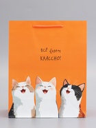 Пакет подарочный, ламинированный, «Все будет классно», оранжевый, 26×12×32 см  (артикул 10992951)  большой выбор товаров оптом и в розницу по низким ценам с доставкой