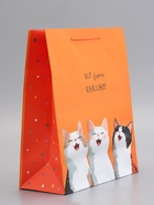 Пакет подарочный, ламинированный, «Все будет классно», оранжевый, 26×12×32 см  (артикул 10992951)  большой выбор товаров оптом и в розницу по низким ценам с доставкой