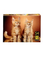 Пазл «Домашние питомцы», 54 детали, МИКС 10987786