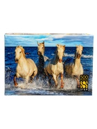 Пазл 500 эл. "Четверка Нептуна" 99075 10987787