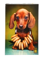 Пазл 500 эл. "Щенок таксы" 91073 10987819