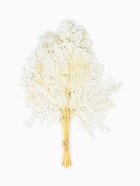 Сухоцвет Папоротник МИКС, 10 шт в упаковке  (артикул 10969203)  большой выбор товаров оптом и в розницу по низким ценам с доставкой