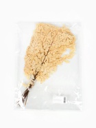 Сухоцвет Папоротник МИКС, 10 шт в упаковке  (артикул 10969203)  большой выбор товаров оптом и в розницу по низким ценам с доставкой