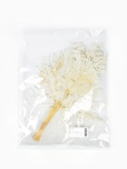 Сухоцвет Папоротник МИКС, 10 шт в упаковке  (артикул 10969203)  большой выбор товаров оптом и в розницу по низким ценам с доставкой