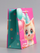 Пакет подарочный ламинированный «С днём рождения!», 18×22.3×10 см - Фото 4