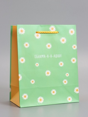 Пакет подарочный ламинированный «Ромашки - обнимашки», 18×22.3×10 см
