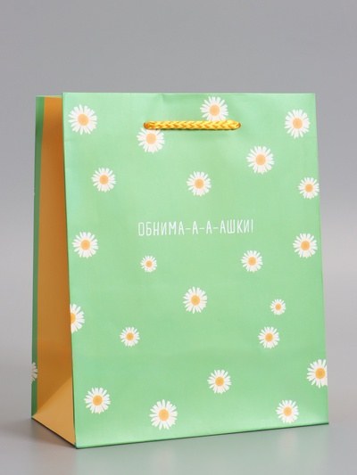 Пакет подарочный ламинированный «Ромашки - обнимашки», 18×22.3×10 см