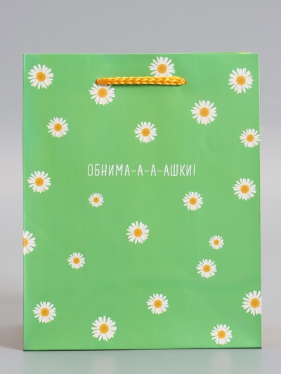 Пакет подарочный ламинированный «Ромашки - обнимашки», 18×22.3×10 см