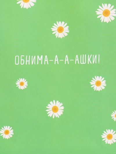Пакет подарочный ламинированный «Ромашки - обнимашки», 18×22.3×10 см