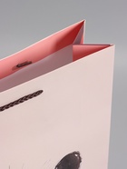 Пакет подарочный ламинированный «Весёлый енотик», 33×42.5×10 см  (артикул 10978105)  большой выбор товаров оптом и в розницу по низким ценам с доставкой