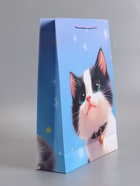 Пакет подарочный ламинированный «Мурлыка счастья», 33×42.5×10 см  (артикул 10978106)  большой выбор товаров оптом и в розницу по низким ценам с доставкой