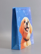 Пакет подарочный ламинированный «Дружок-компаньон», 33×42.5×10 см  (артикул 10978107)  большой выбор товаров оптом и в розницу по низким ценам с доставкой