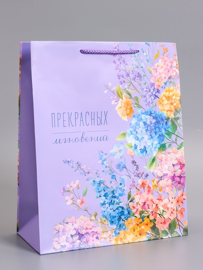 Пакет подарочный ламинированный «Прекрасных мгновений», 26×12×32 см