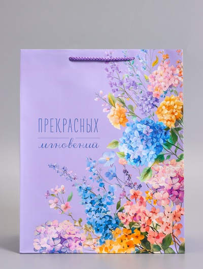 Пакет подарочный ламинированный «Прекрасных мгновений», 26×12×32 см