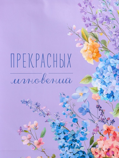 Пакет подарочный ламинированный «Прекрасных мгновений», 26×12×32 см