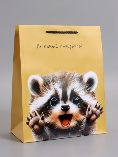 Пакет подарочный ламинированный «Ух! Какой подарочек!», 26×12×32 см