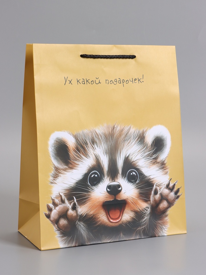 Пакет подарочный ламинированный «Ух! Какой подарочек!», 26×12×32 см - Фото 1