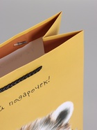 Пакет подарочный ламинированный «Ух! Какой подарочек!», 26×12×32 см - Фото 5