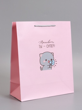Пакет подарочный ламинированный «Ты супер», 26×12×32 см