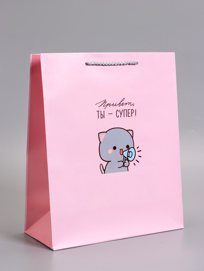 Пакет подарочный ламинированный «Ты супер», 26×12×32 см
