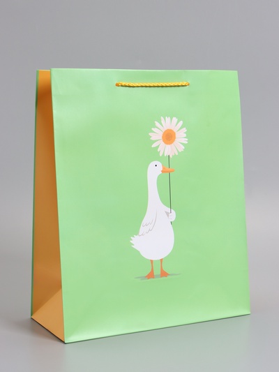 Пакет подарочный ламинированный «Ромашка», 26×12×32 см