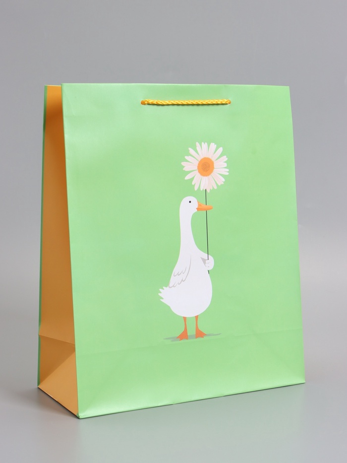 Пакет подарочный ламинированный «Ромашка», 26×12×32 см - Фото 1