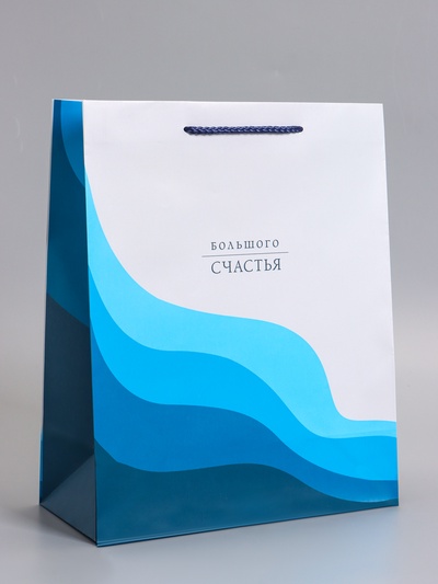 Пакет подарочный ламинированный «Большого счастья», 26×12×32 см