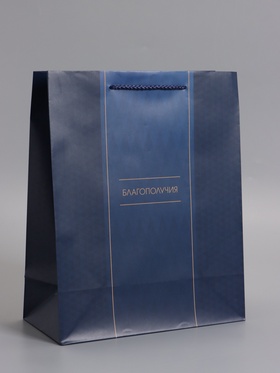 Пакет подарочный ламинированный «Лаконичный комплимент», 26×12×32 см