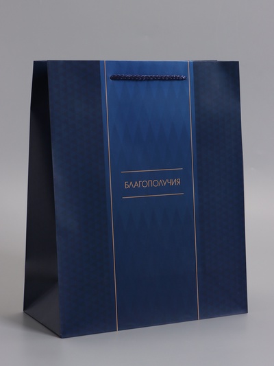 Пакет подарочный ламинированный «Лаконичный комплимент», 26×12×32 см