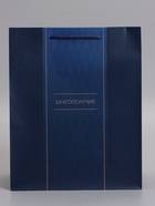 Пакет подарочный ламинированный «Лаконичный комплимент», 26×12×32 см - Фото 2