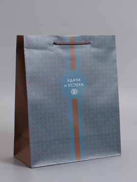 Пакет подарочный ламинированный «Статусный акцент», 26×12×32 см