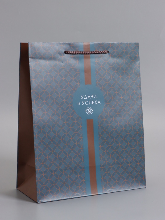 Пакет подарочный ламинированный «Статусный акцент», 26×12×32 см - Фото 1