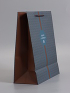 Пакет подарочный ламинированный «Статусный акцент», 26×12×32 см - Фото 4