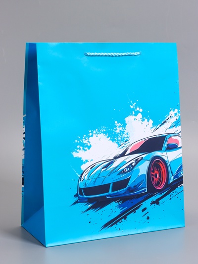 Пакет подарочный ламинированный «Чёткий акцент», 26×12×32 см