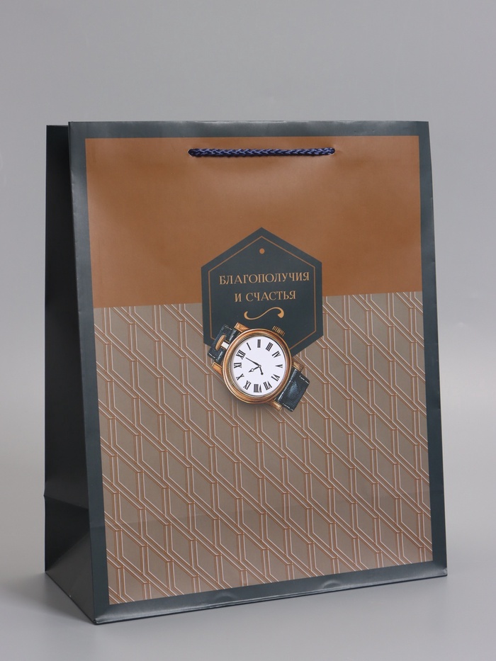 Пакет подарочный ламинированный «Сдержанный стиль», 26×12×32 см - Фото 1