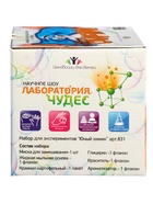 Набор опытов БрикНик «Мыло-лизун. Ледяная свежесть», серия Юный Химик - Фото 10