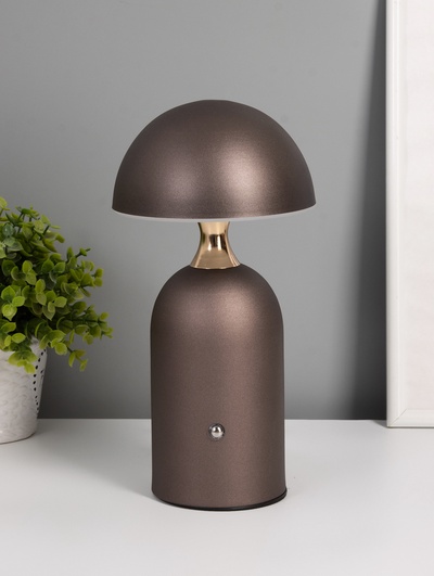 Настольная лампа LED «Умбо», 2 Вт, 6000K, коричневая