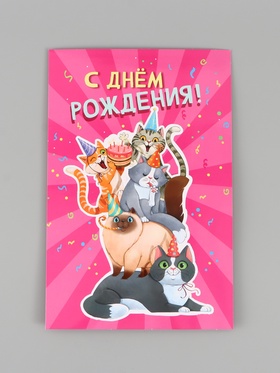Открытка поздравительная с карманом для денег «С Днём рождения», коты, 19 х 29 см
