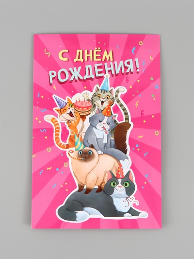 Открытка поздравительная с карманом для денег «С Днём рождения», коты, 19 х 29 см