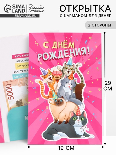 Открытка поздравительная с карманом для денег «С Днём рождения», коты, 19×29 см