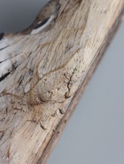 УЦЕНКА Сувенир «Кошка», 60×12×6.5 см, дерево - Фото 10