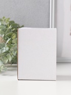 Набор фигурок 4 шт. полистоун «Белочки с орешками», 3×5.5×7.4 см - Фото 5