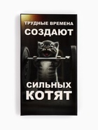 Шоколад молочный «Трудные времена» 27 г - фото 121984586