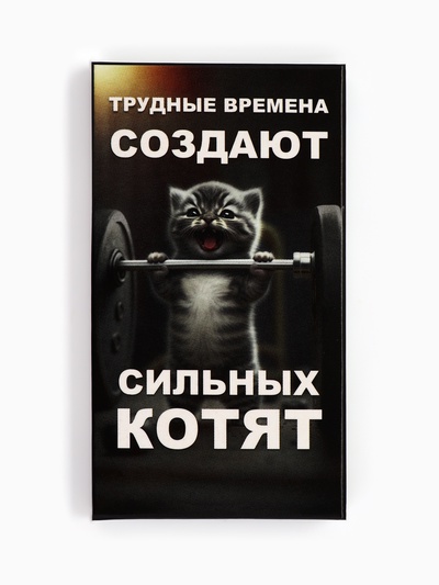 Шоколад молочный «Трудные времена» 27 г