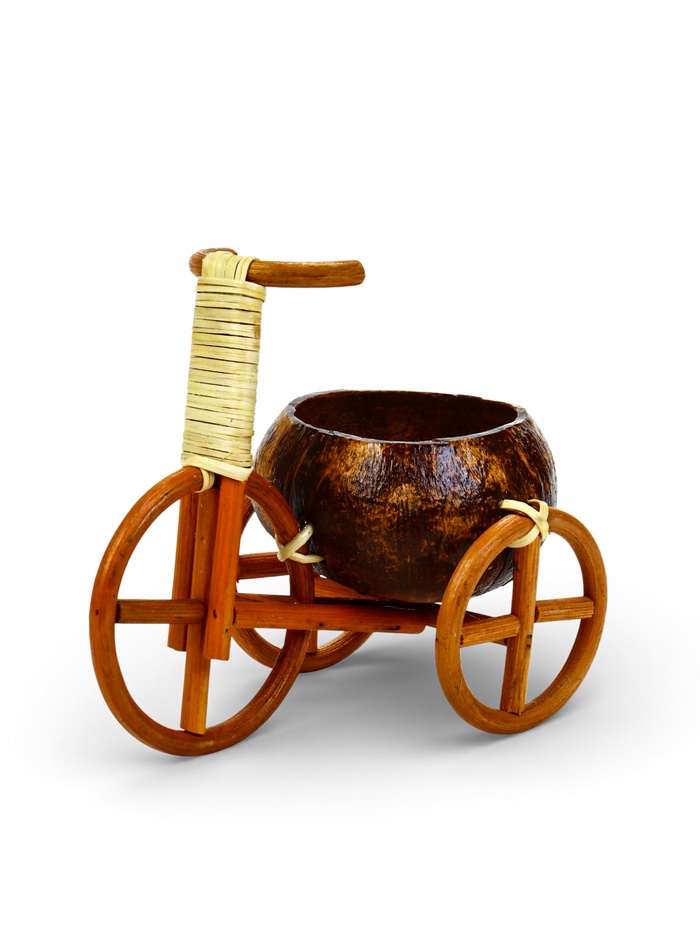 Декоративное кашпо - кокос «Велосипед», 20×12×17 см, деревянное - Фото 1